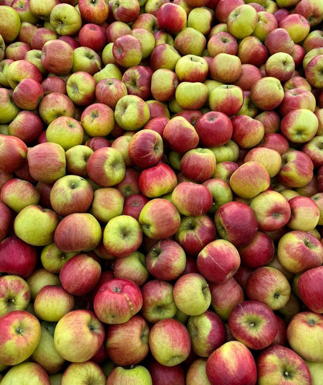 Fehlende Bildbeschreibung