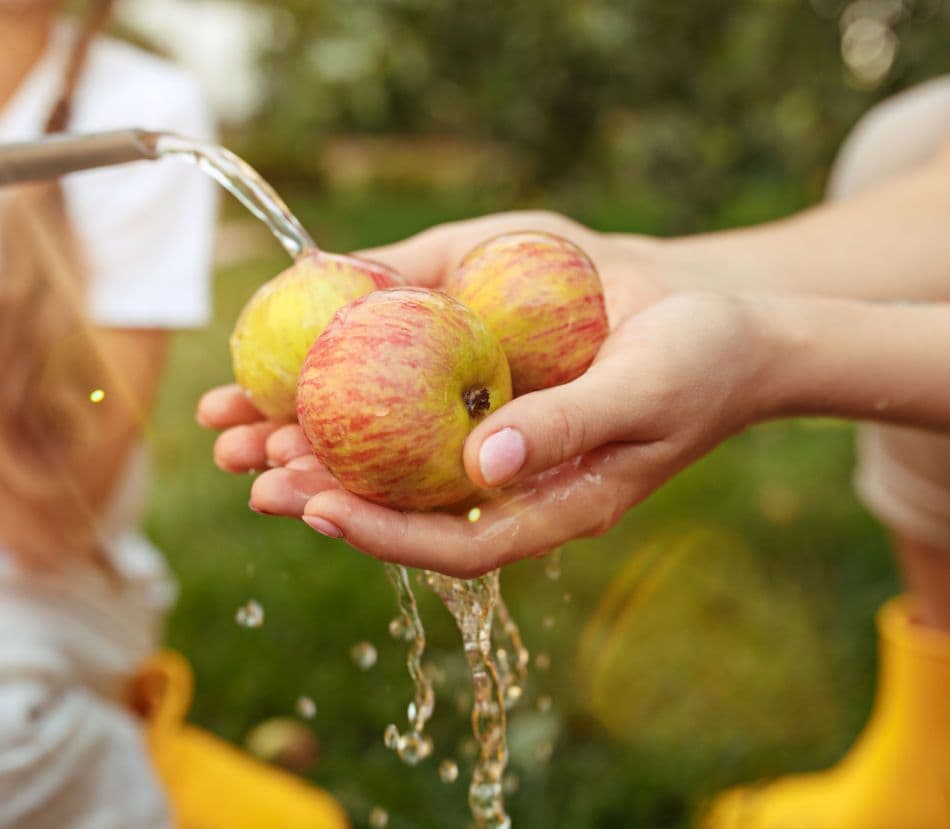 Drei Äpfel werden unter fließendem Wasser im freien gewaschen.